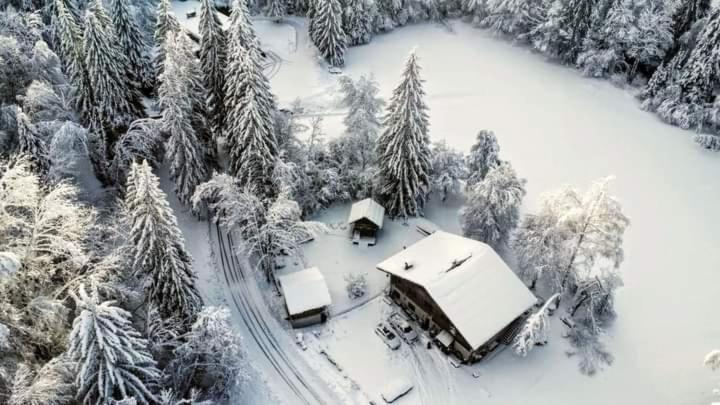 Calme Et Serenite - Etablissement Classe Sixt-Fer-a-Cheval Exterior photo