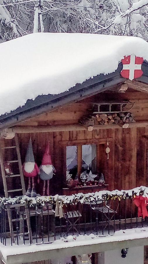 Calme Et Serenite - Etablissement Classe Sixt-Fer-a-Cheval Exterior photo