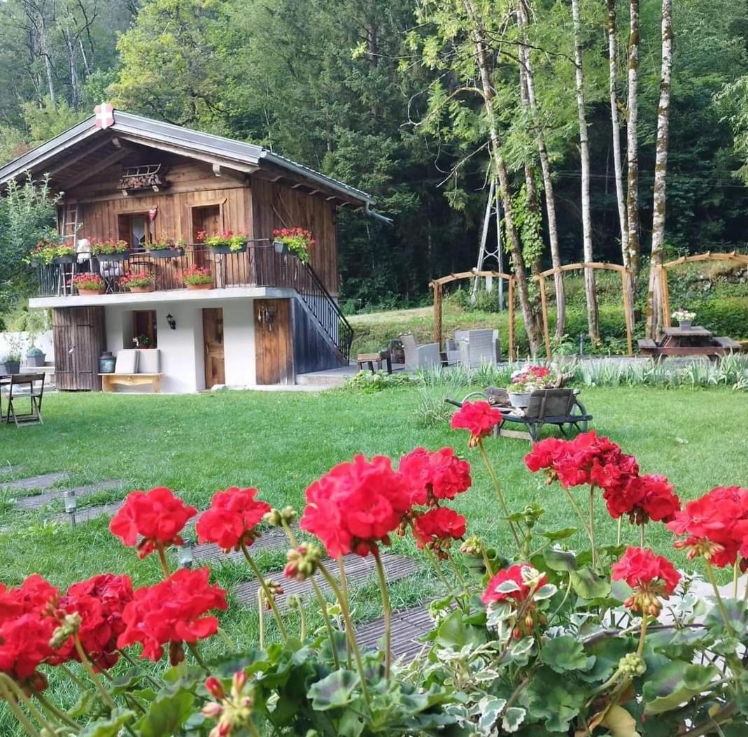Calme Et Serenite - Etablissement Classe Sixt-Fer-a-Cheval Exterior photo